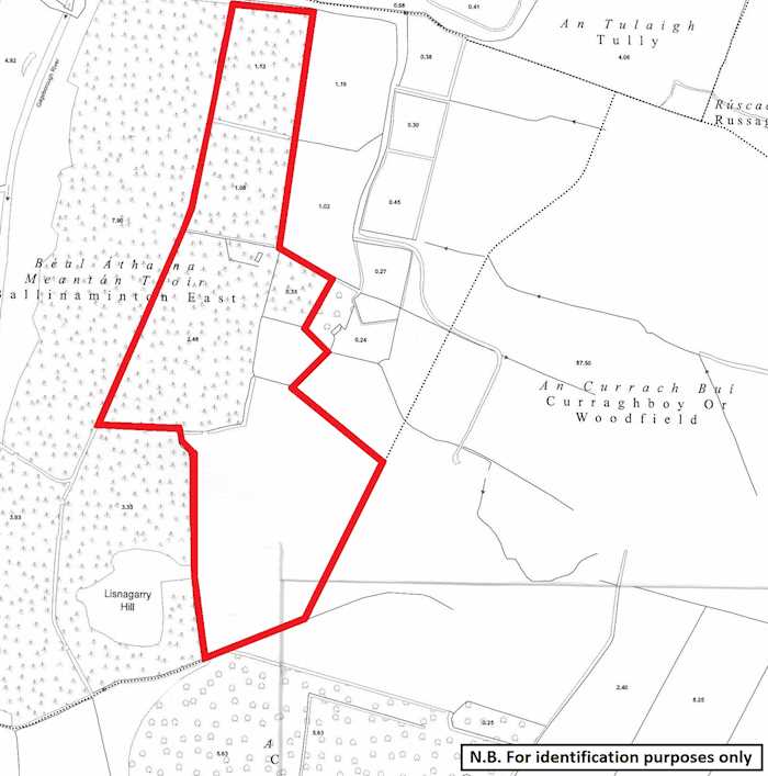 Forestry Lands comprised within Folio OY5348, Kilcoursey, Clara, Co. Offaly 1/1