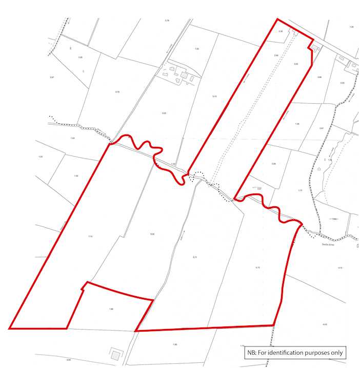 75 acres at Grangegeeth, Slane, Co. Meath 1/1