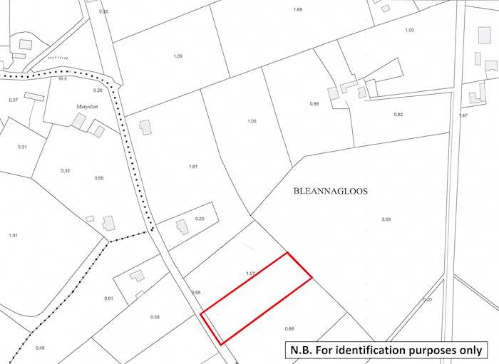 Lands comprised within Folios GY84945F and GY97582F, Ruane, Ballygar, Co. Galway 1/2